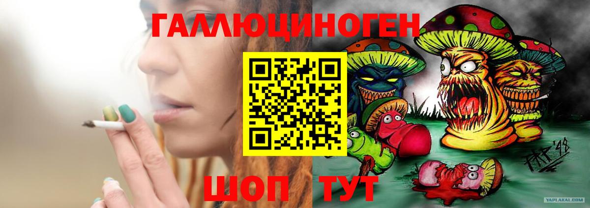 Псилоцибиновые грибы Cubensis  Вход с VPN  Калуга 